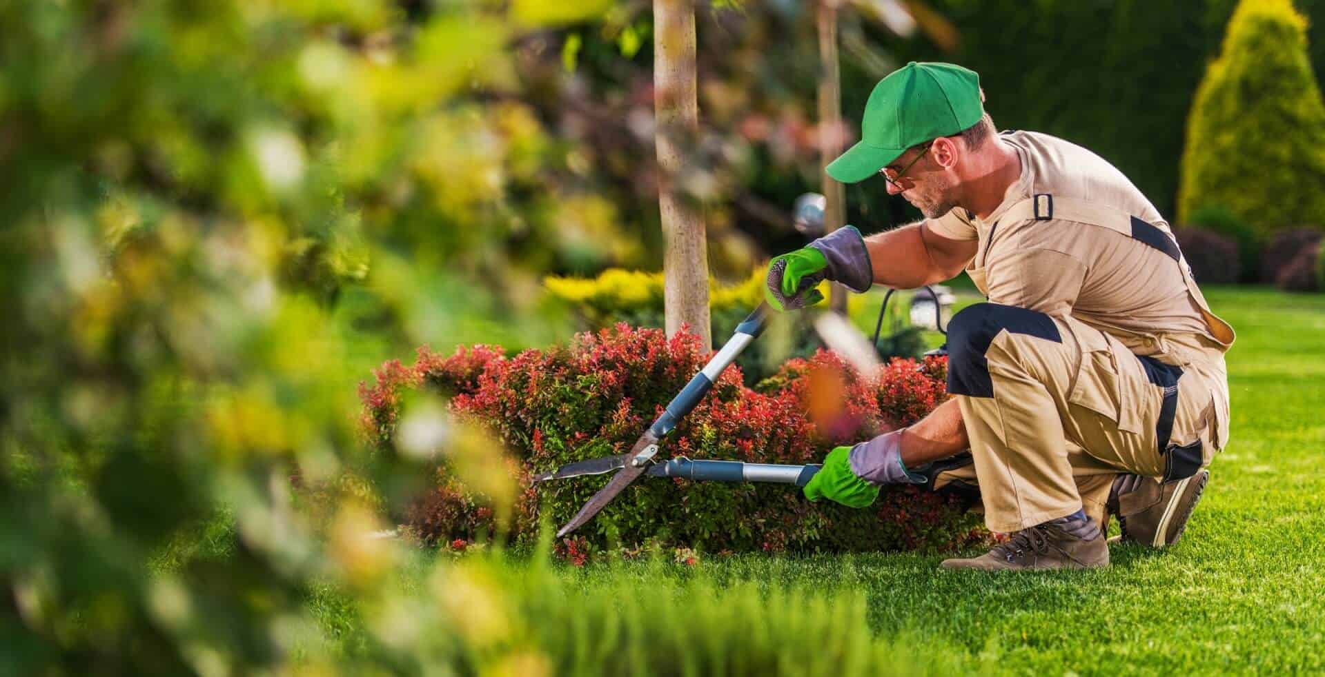 Garden Landscaping Services Contractor Ameristrong